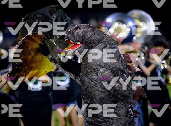 0245vsFSHS