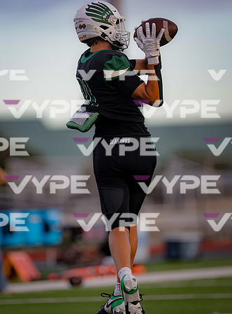 0368vsFSHS