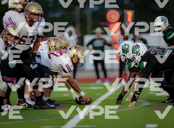 0390vsFSHS