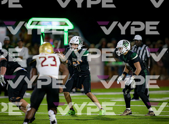 0784vsFSHS