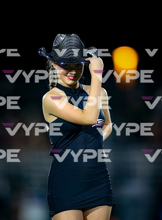 0786vsFSHS