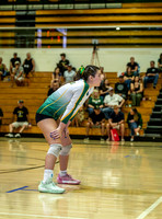 El Camino Real vs Moorpark Girls Varsity Volleyball-0009