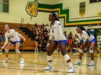 El Camino Real vs Moorpark Girls Varsity Volleyball-0038