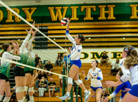 El Camino Real vs Moorpark Girls Varsity Volleyball-0066