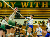 El Camino Real vs Moorpark Girls Varsity Volleyball-0067