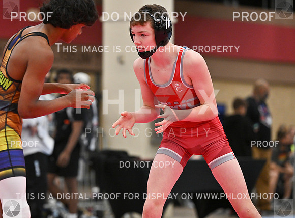 DLS_6174