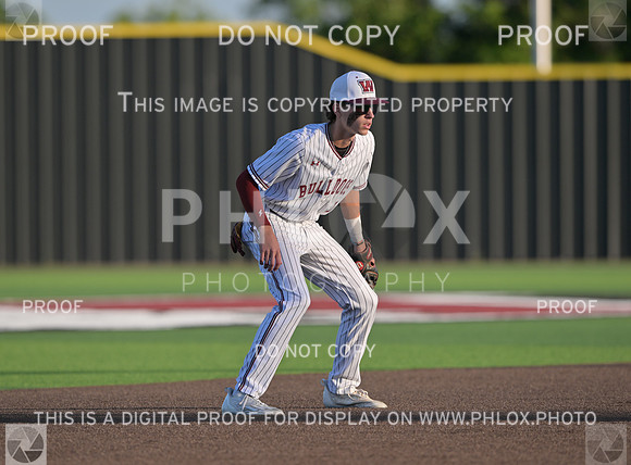 DLS_4404