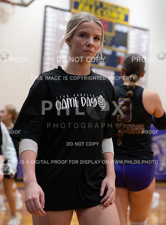 DLS_0592
