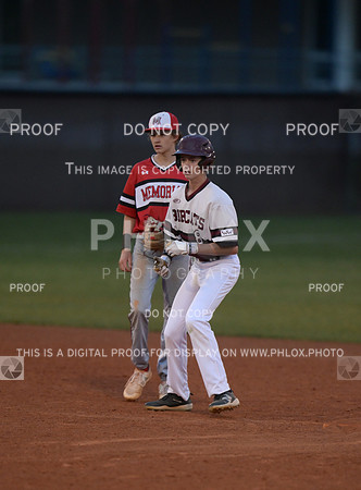 DLS_4102
