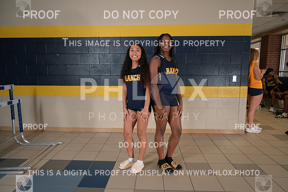 DLS_1181