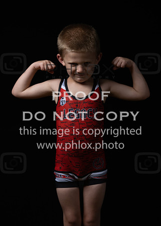 DLS_0110