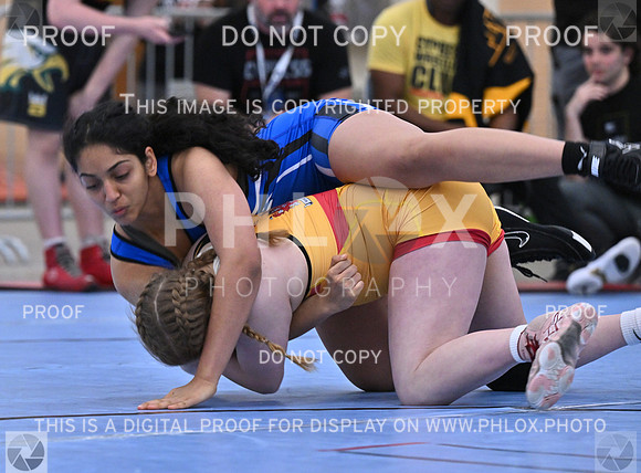 DLS_5661