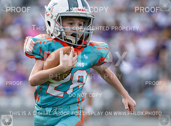 12pm Freshman -Vikings (V) vs Dolphins (H)-83