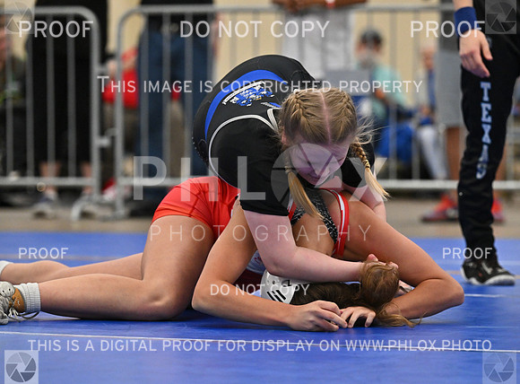 DLS_6287