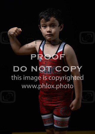 DLS_0086