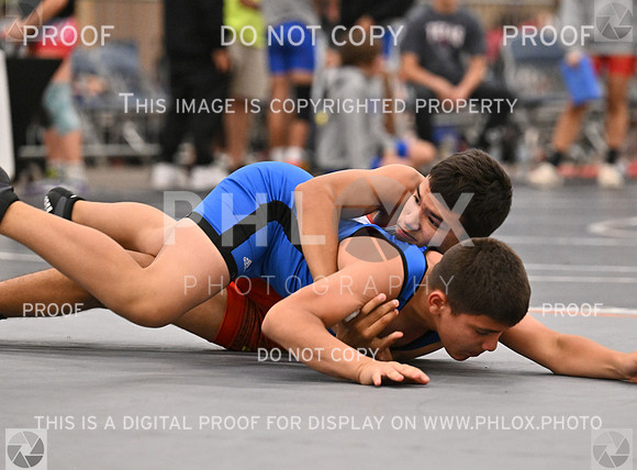DLS_7588-3