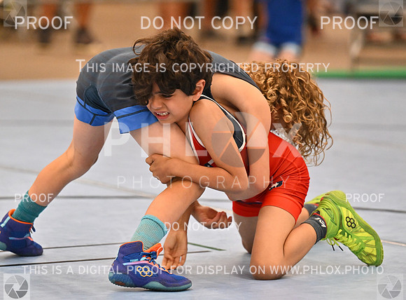DLS_7565