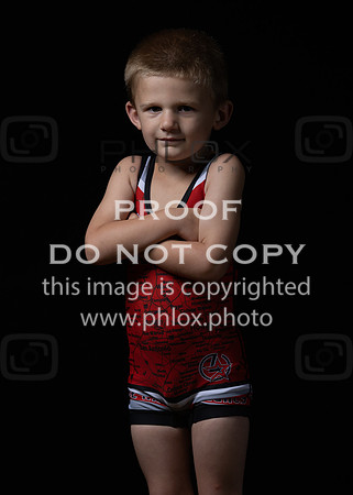 DLS_0115