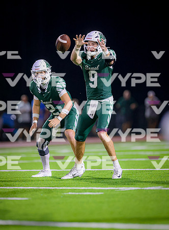 0100vsPHS