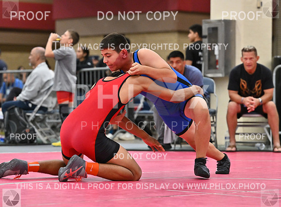 DLS_7382