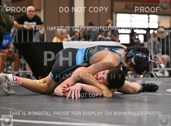 DLS_6542