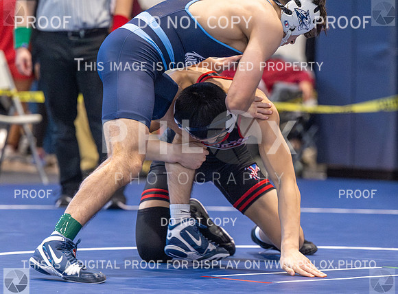 DLS_4401