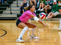 261013 Lamar vs Stratford volleyball00213