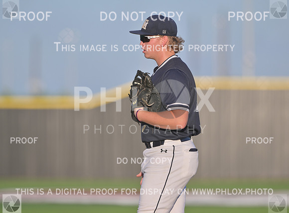 DLS_4505
