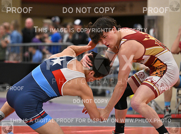 DLS_6125