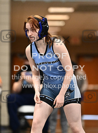 DLS_2863