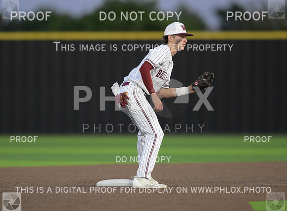 DLS_4952