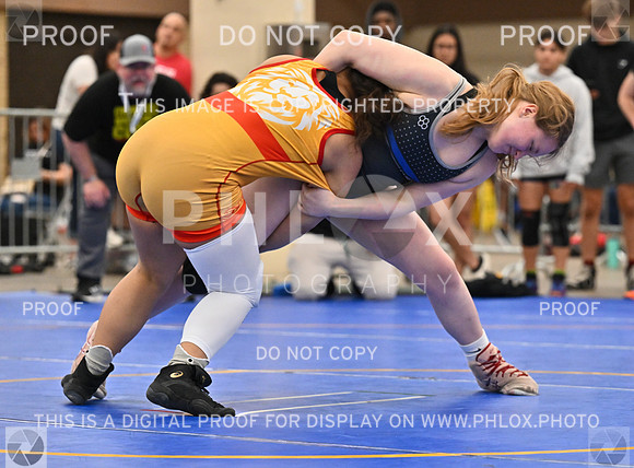 DLS_8811