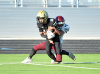 2026-10-7 Plano East (TX) @ Princeton (TX)  - Boys - JV-B - Football