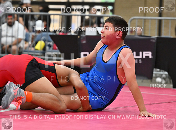 DLS_7397
