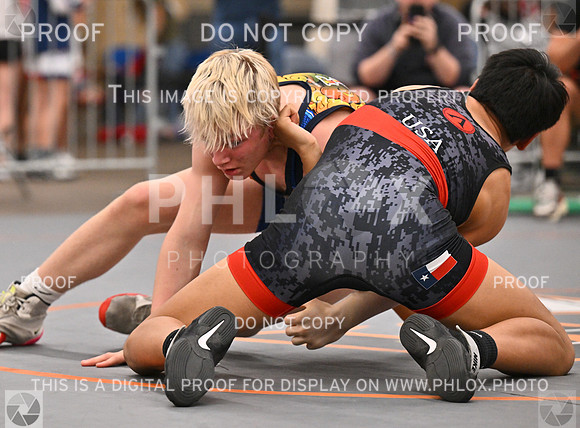 DLS_5955