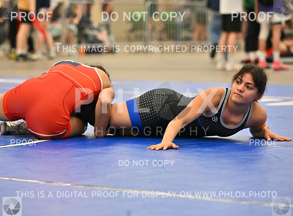 DLS_8188