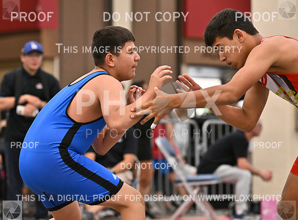 DLS_7590-2