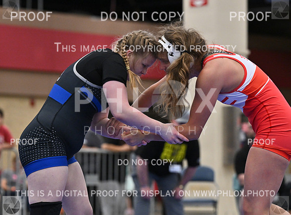 DLS_6305