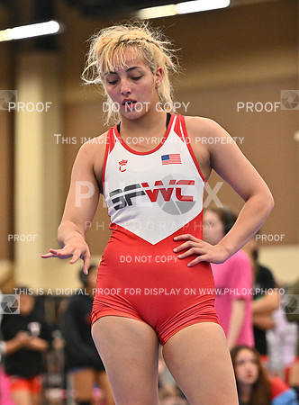 DLS_9101