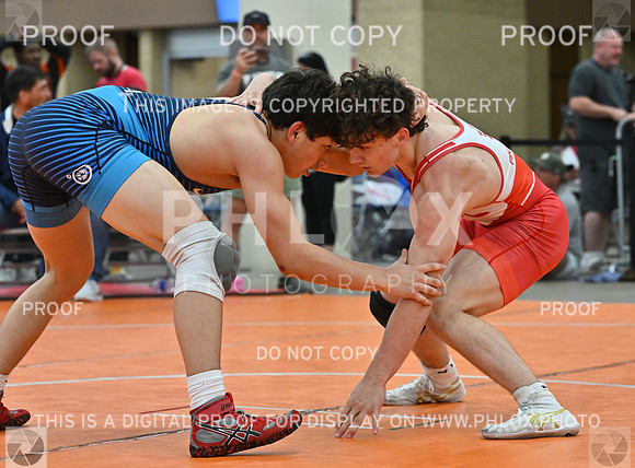DLS_9918