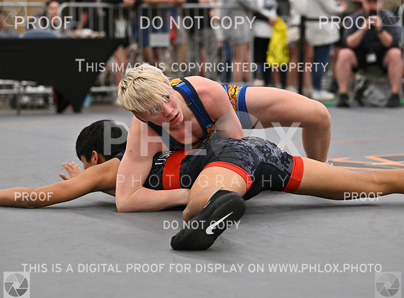 DLS_5938
