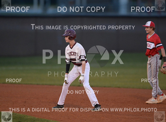 DLS_4121