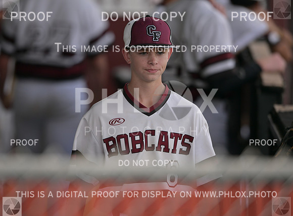 DLS_2924