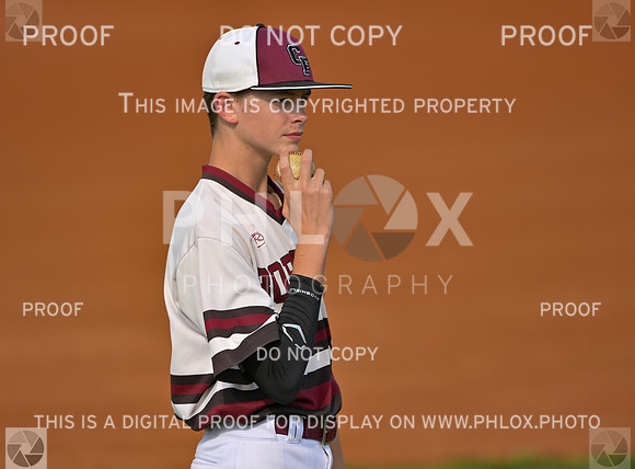 DLS_2738