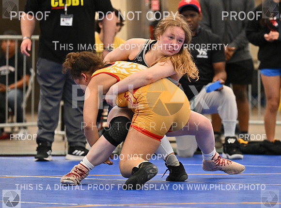 DLS_8845
