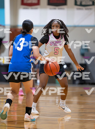 DLS_9339