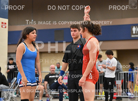 DLS_8270