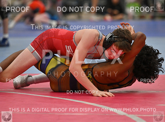 DLS_6190