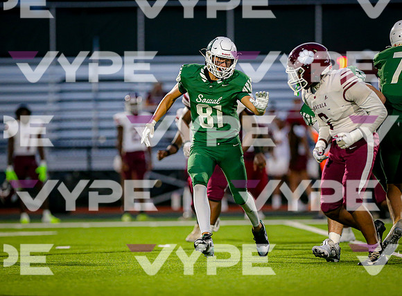 0291vsPHS