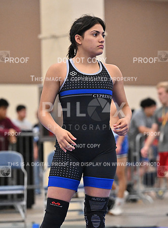 DLS_8165